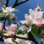 Ferienwohnung-muehlviertel *