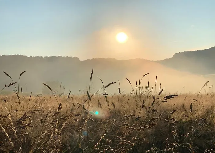 Ferienwohnung-muehlviertel * Oepping
