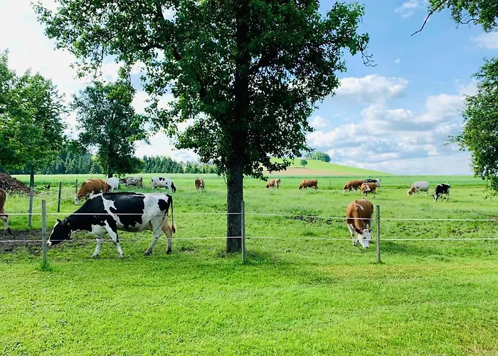 Ferienwohnung-muehlviertel