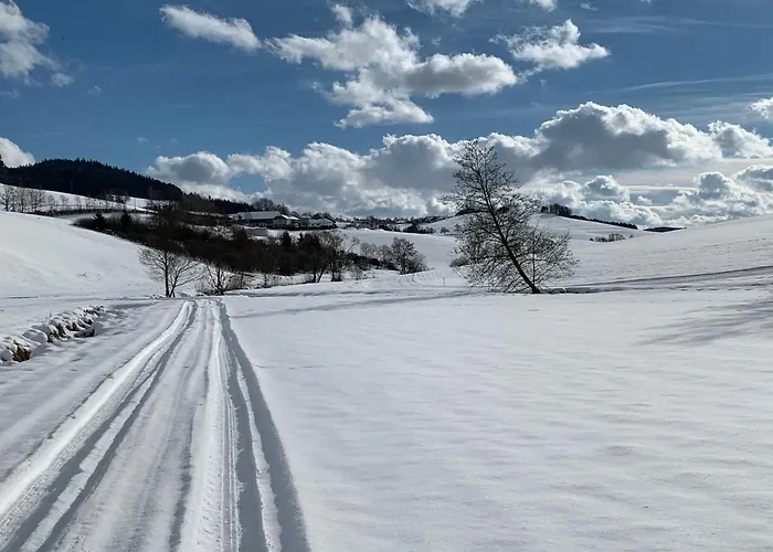 Διαμέρισμα Ferienwohnung-muehlviertel