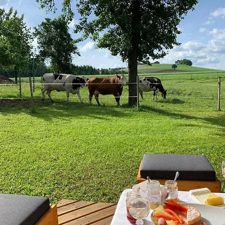 Ferienwohnung-muehlviertel 아파트 *