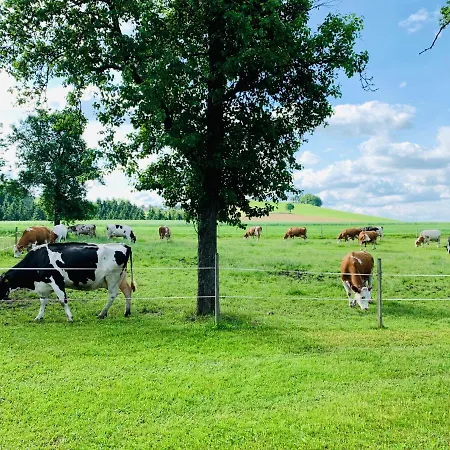 Ferienwohnung-muehlviertel
