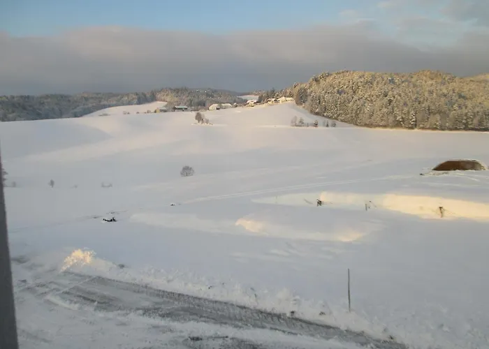 Lejlighed Ferienwohnung-muehlviertel Oepping