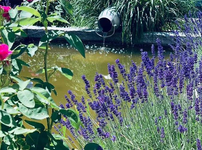 Ferienwohnung-muehlviertel Oepping