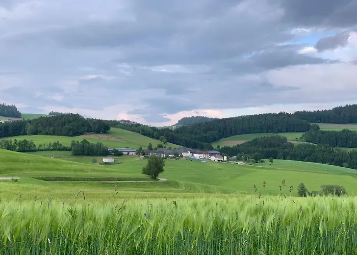Ferienwohnung-muehlviertel Lejlighed Oepping