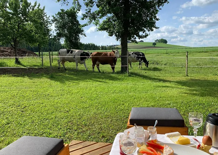 Ferienwohnung-muehlviertel Lejlighed *