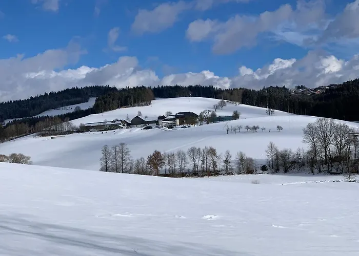 Lejlighed Ferienwohnung-muehlviertel Oepping